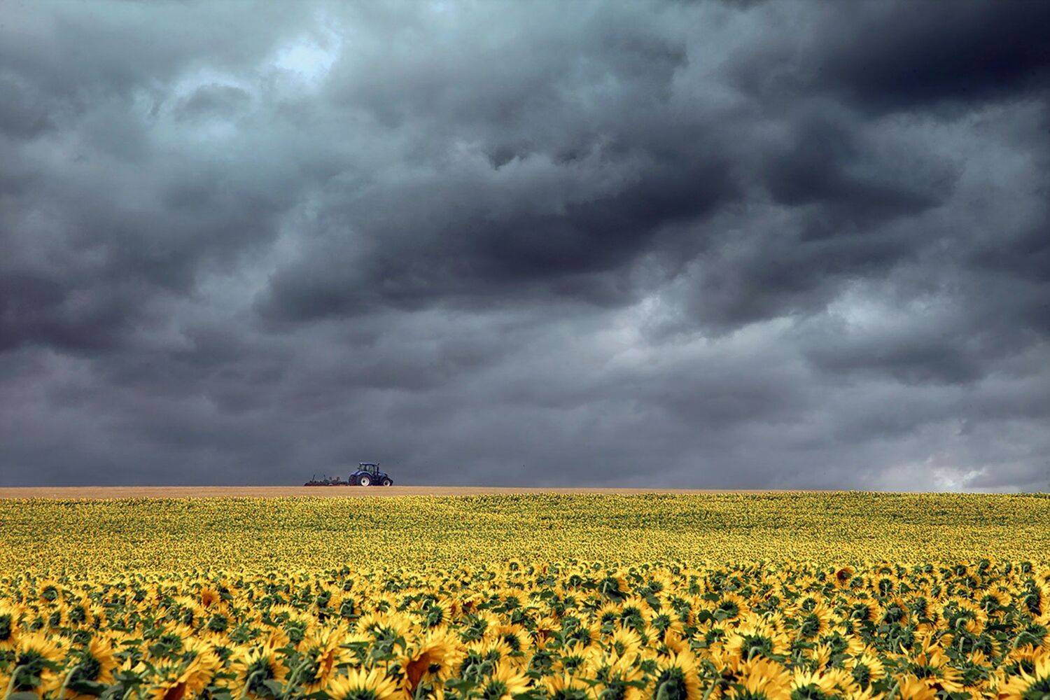 ***. Автор: Alexander Slepcowski , Alexander Slepcowski