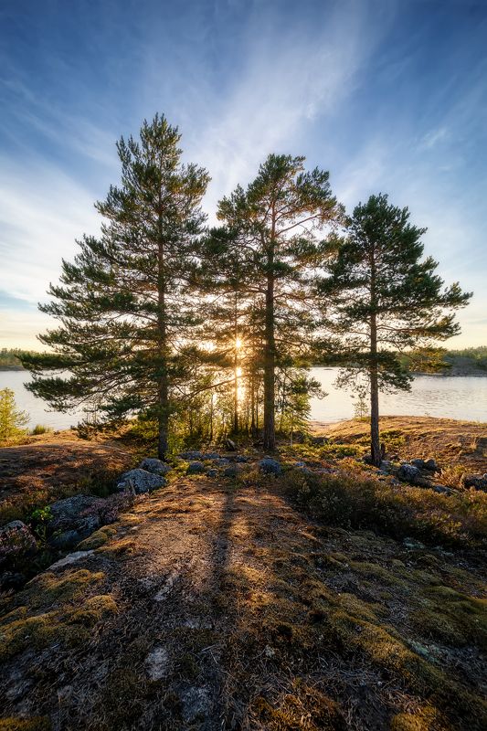 Ладогаphoto preview