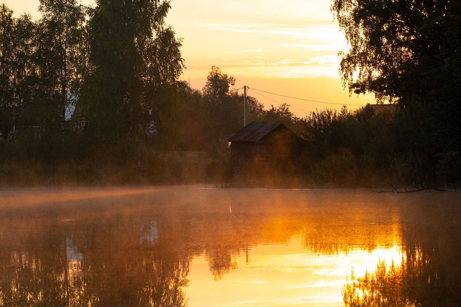 Автор: Виталий Стрельцов , Виталий Стрельцов