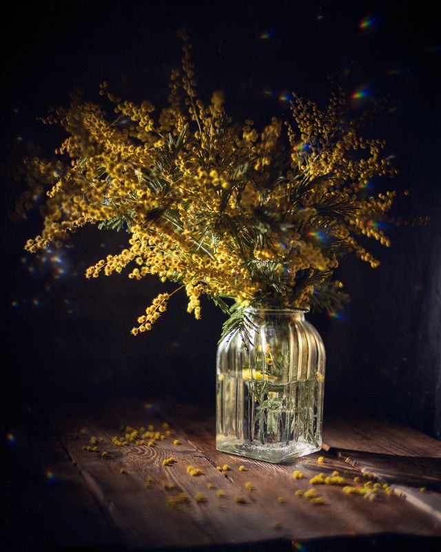 мимоза натюрморт зенитар Мимозаphoto preview