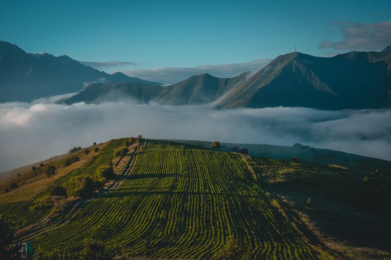 облака, горы, равнина, осетия, холм, пейзаж, природа, clouds, mountains, ossetia, landscape, forest, nature Sunrise in the North Ossetia.photo preview