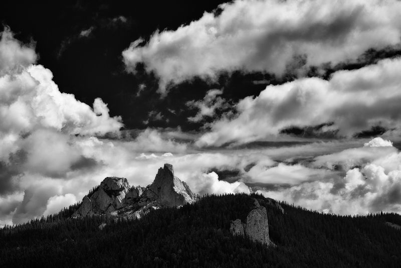 2017 фото превью