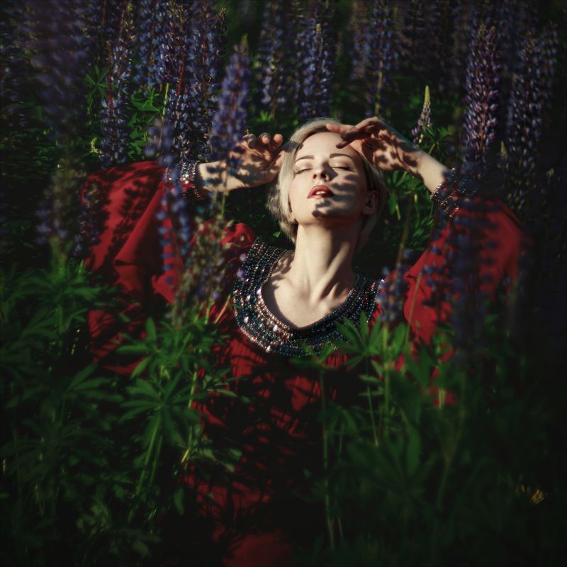 *** фото превью