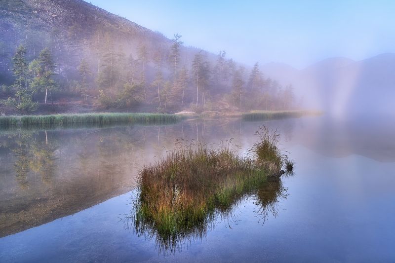 Туманное утро фото превью