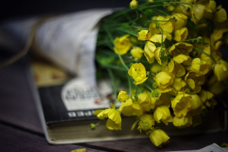 Желтые цветыphoto preview