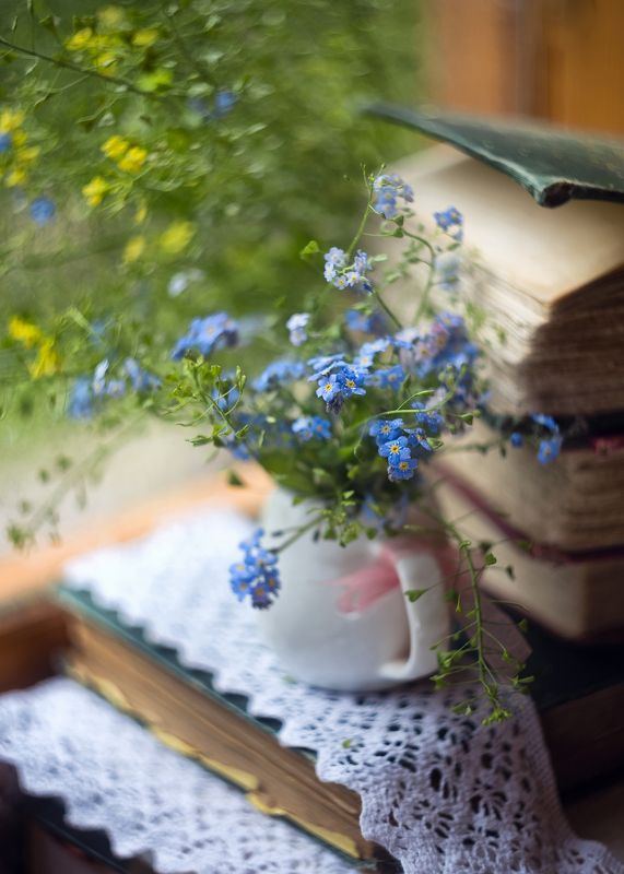 незабудки, утро, гелиос 44, старая оптика, краски жизни, моя беларусь,боке,акварельная нежность,ирина горюкина Незабудковое утро) фото превью