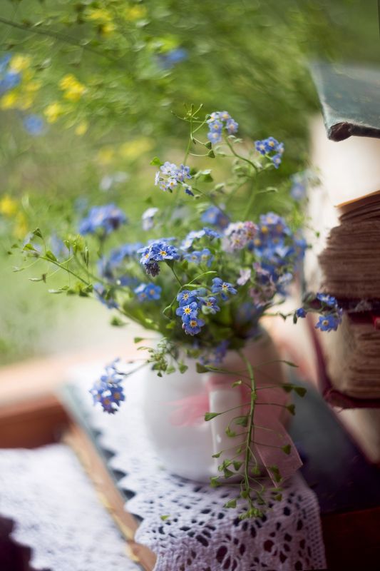 незабудки, утро, краски жизни, гелиос 44,моя беларусь,боке,акварельная нежность стихотворное фото превью