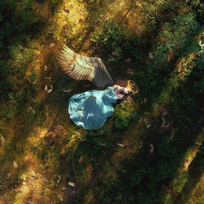 .angels Vi. фото превью