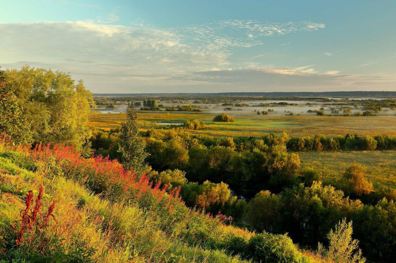 На рассвете.... Автор: Титов Александр природа, август, утро, рассвет, луг, туман, лето, Титов Александр