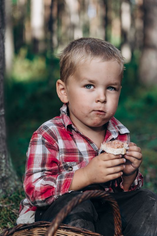 привал грибник лес Привал грибникаphoto preview
