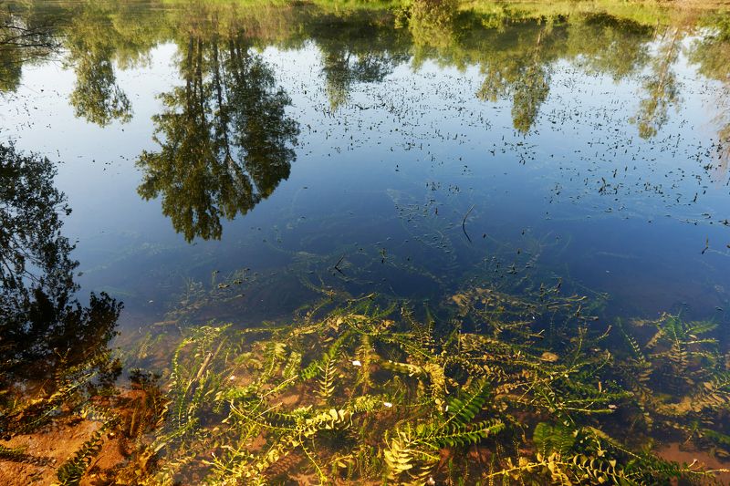 Немного солнца и жизни в холодной водеphoto preview