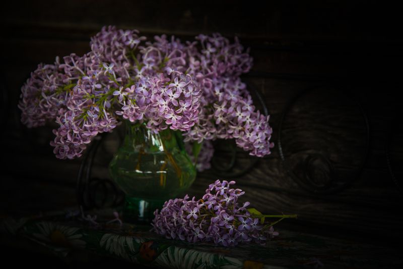 натюрморт сирень цветы ваза сиреньphoto preview