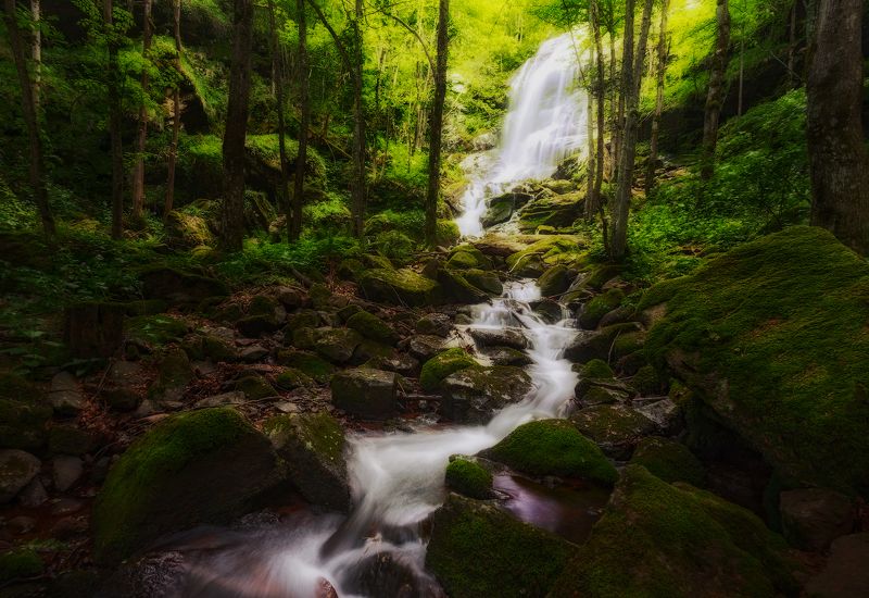 лес, парк, природа, водопад, деревья, речка, болгария, зелень, bulgaria, forest, waterfall photo preview