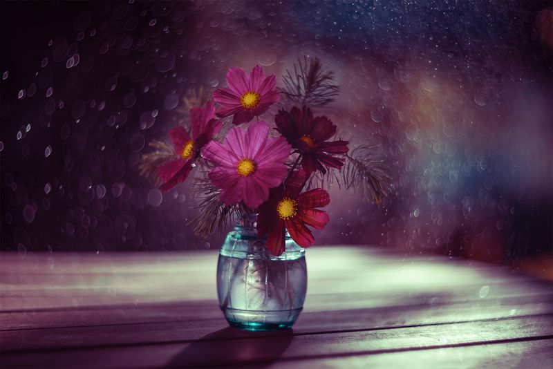 ***космосphoto preview