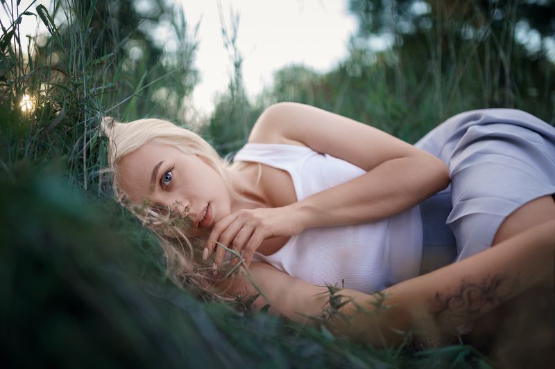 трава, лето, закат Светлана фото превью