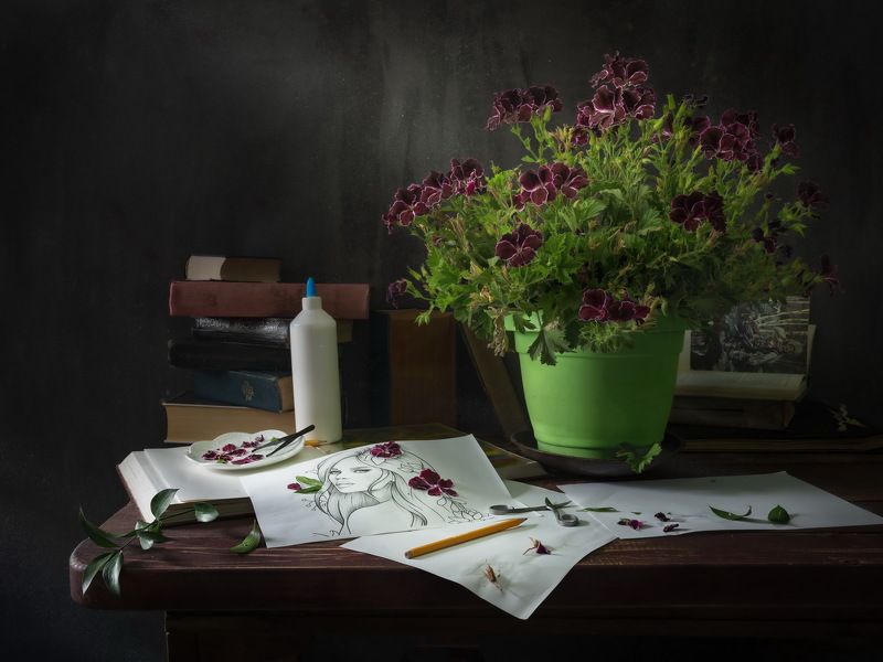 натюрморт цветы в горшке герань пеларгония королевская \