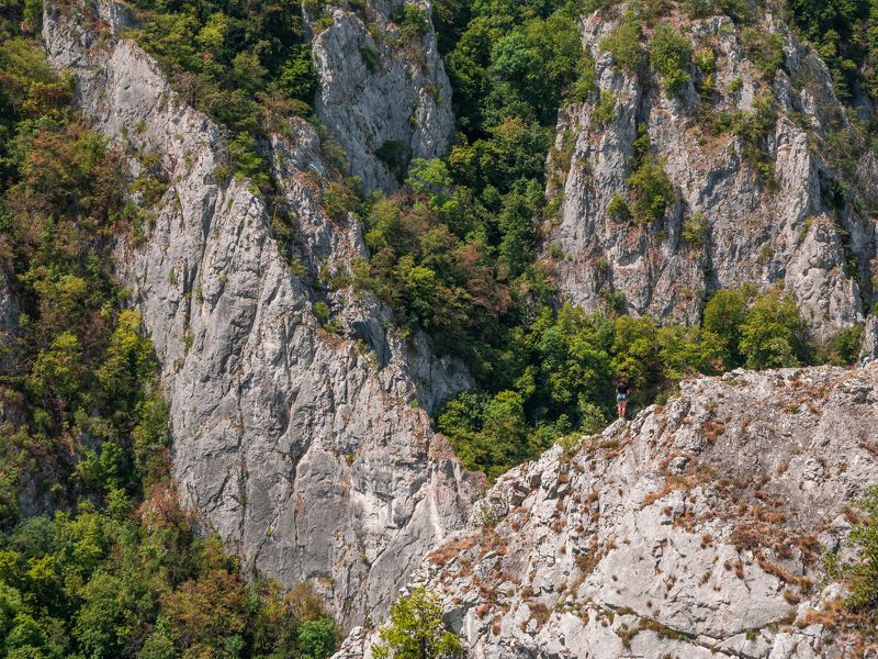 slovakia,landscape,nature,forest,rocks,wall,scale,nopeople On the edgephoto preview