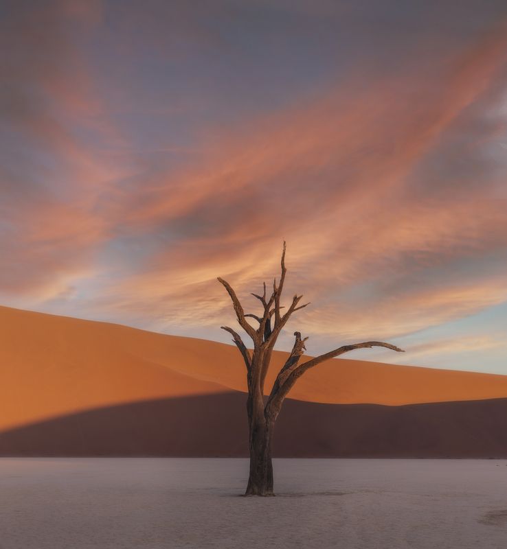 Deadvlei фото превью