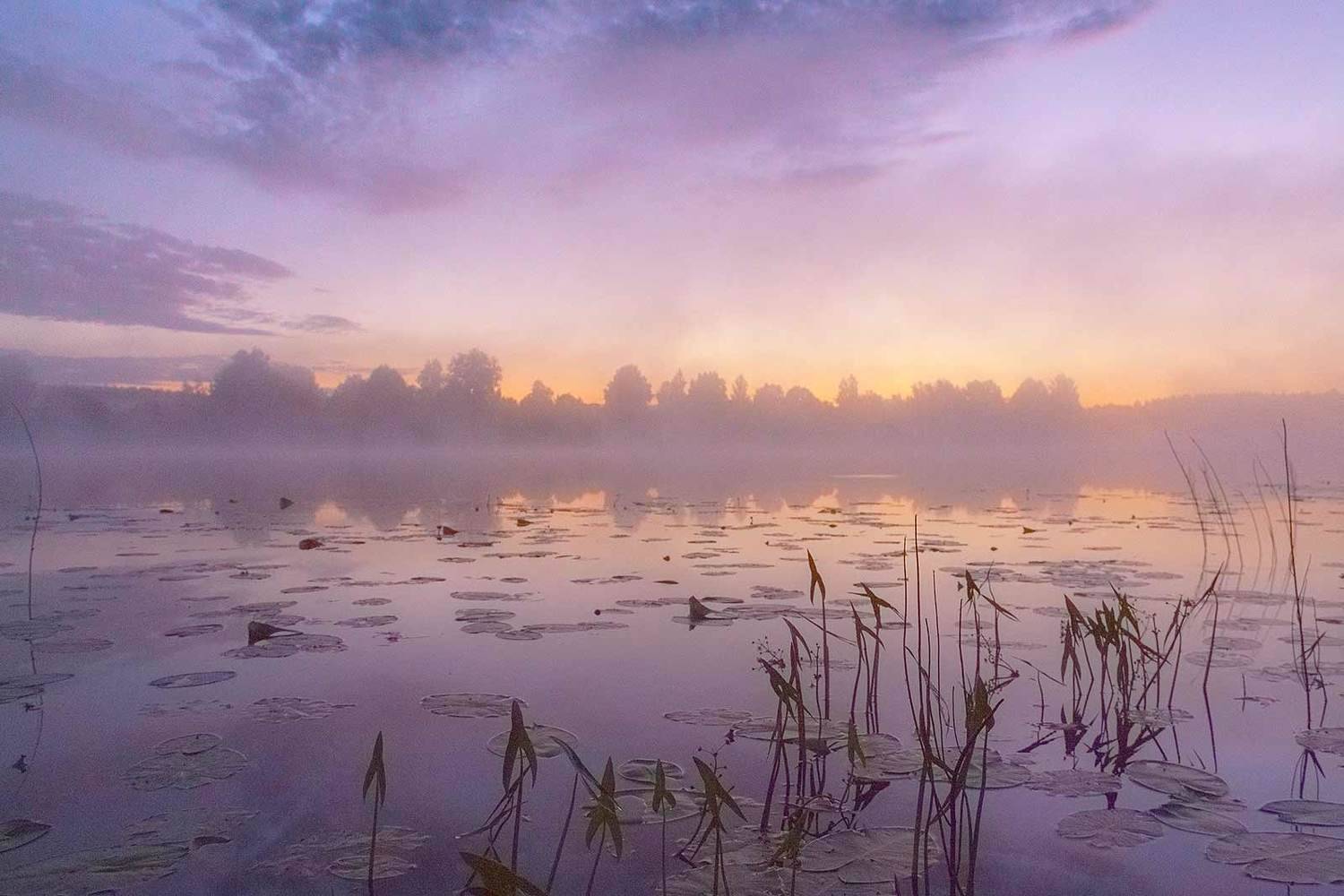 , Напалкин Станислав