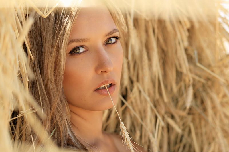 Колосокphoto preview