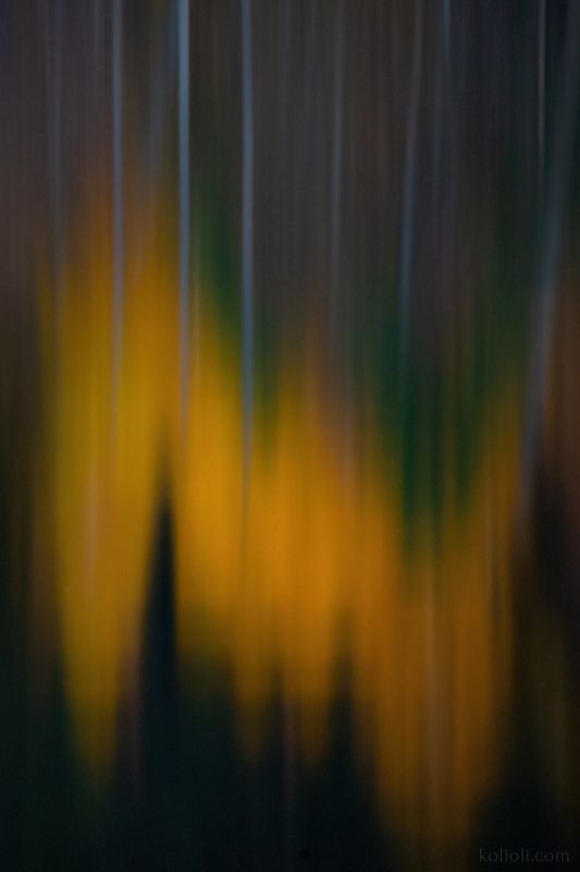 абстракция, осень, ноябрь, лёд, фактуры, intimate landscape, отражения, капельки на листьях, карельский перешеек, ленинградская область Октябрь и ноябрьphoto preview