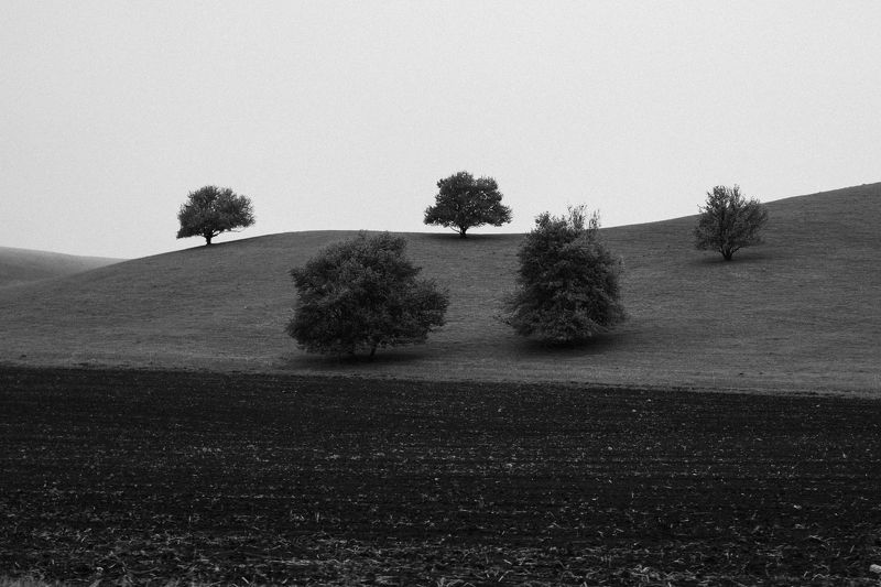 горы, дерево, минимализм Деревьяphoto preview