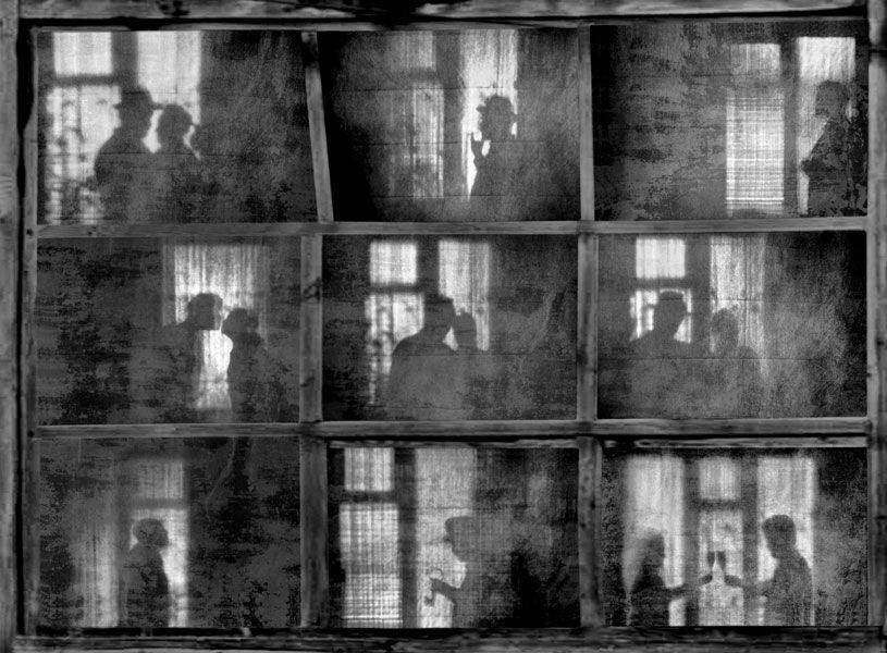 Островки жизни. Автор: Владимир , Владимир