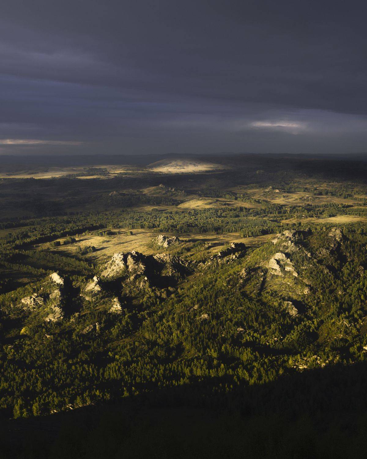 , Максим Салихов