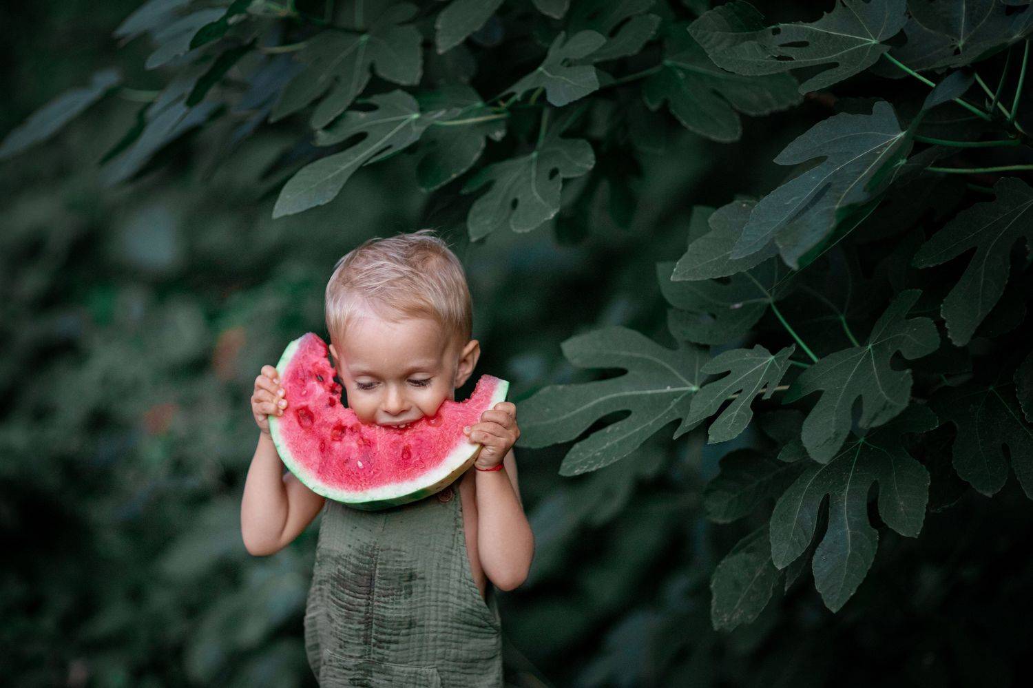 лето, арбуз, ребеок, Екатерина Штерн