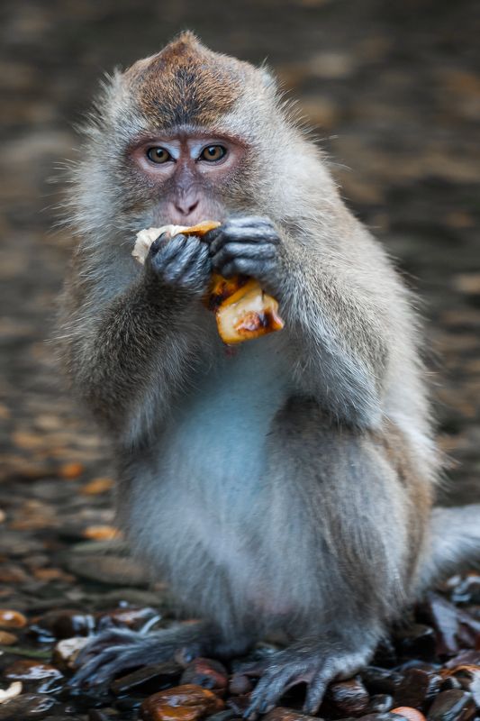 Эти глаза..photo preview