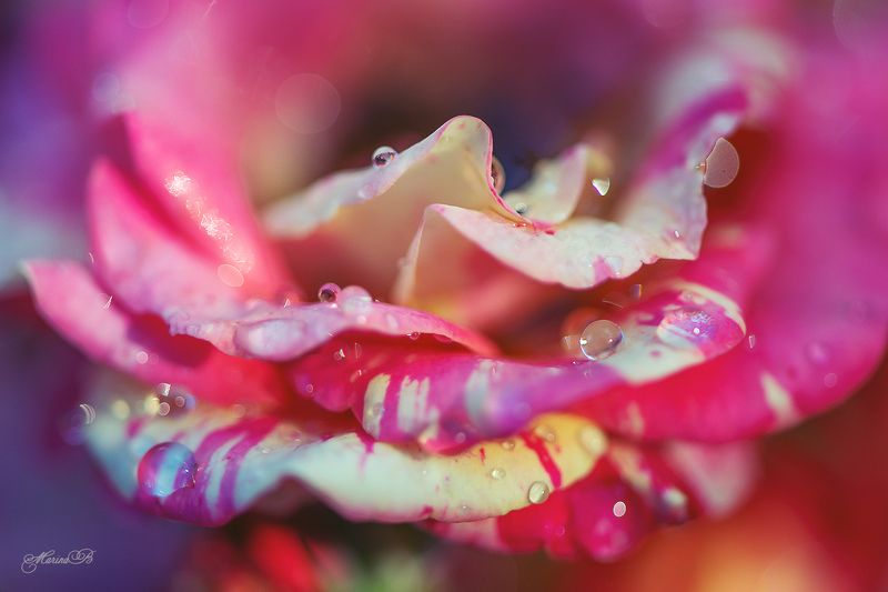 Сколько красоты в том, что зовётся мелочами...photo preview