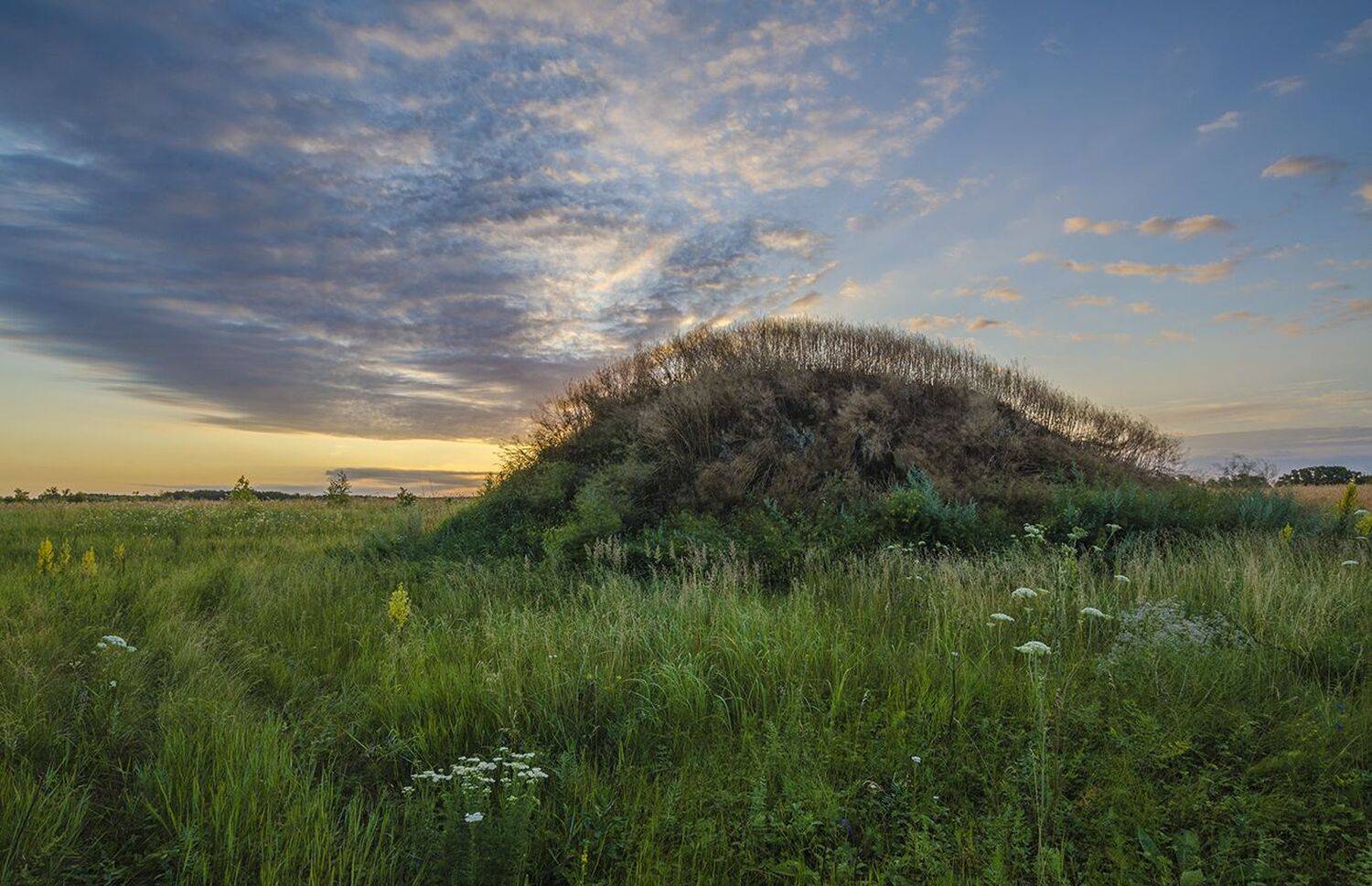 утро, рассвет, лето, парлово, Михаил Агеев