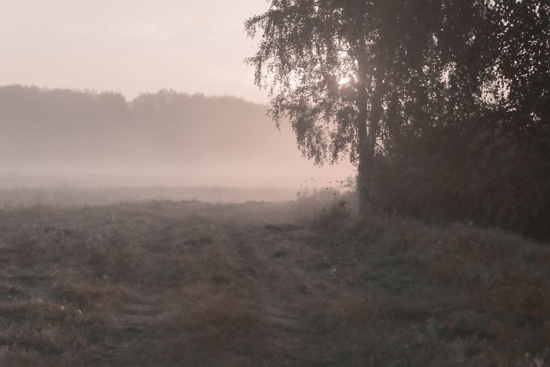 Скоро осень, за окнами август...photo preview