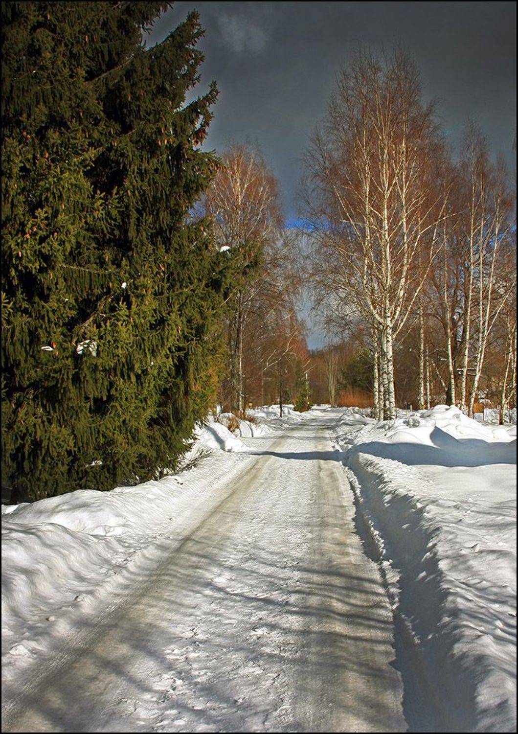 сальково, звенигород, Тарасов Алексей