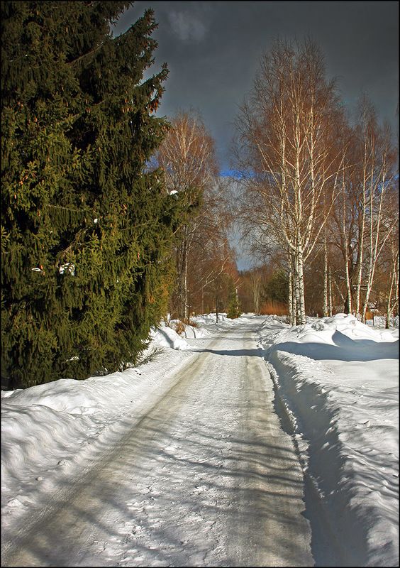 сальково, звенигород Вот моя деревня... фото превью