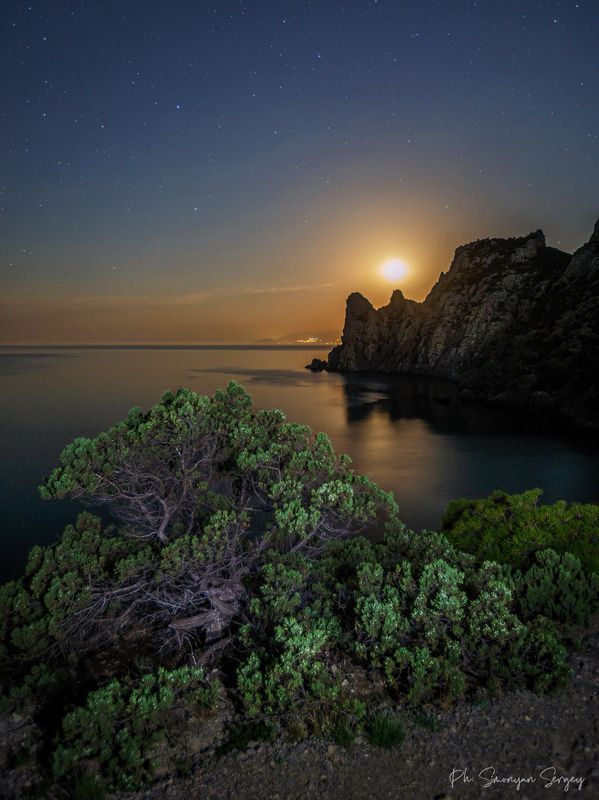 Прогулки под лунойphoto preview