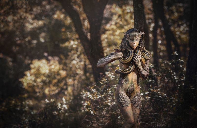 portrait Naturaleza y vidaphoto preview