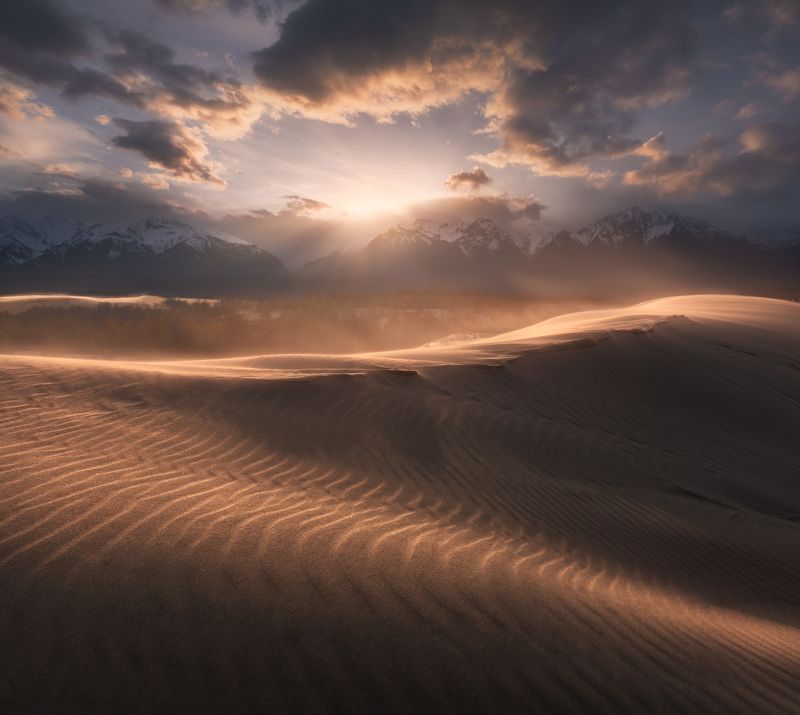забайкалье, чара, пустыня, чарская пустыня, бархан, дюна, чарские пески Закат в Чарских пескахphoto preview