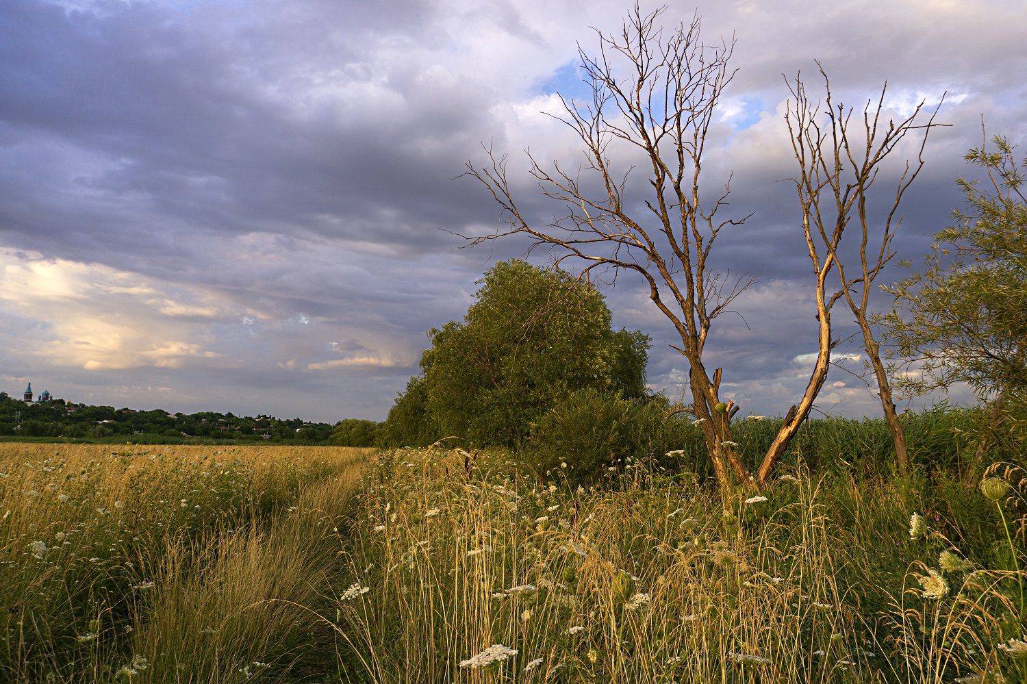 Летний вечер.. Автор: Марина Соколова пейзаж,природа,вевер,красота,взгляд, Марина Соколова