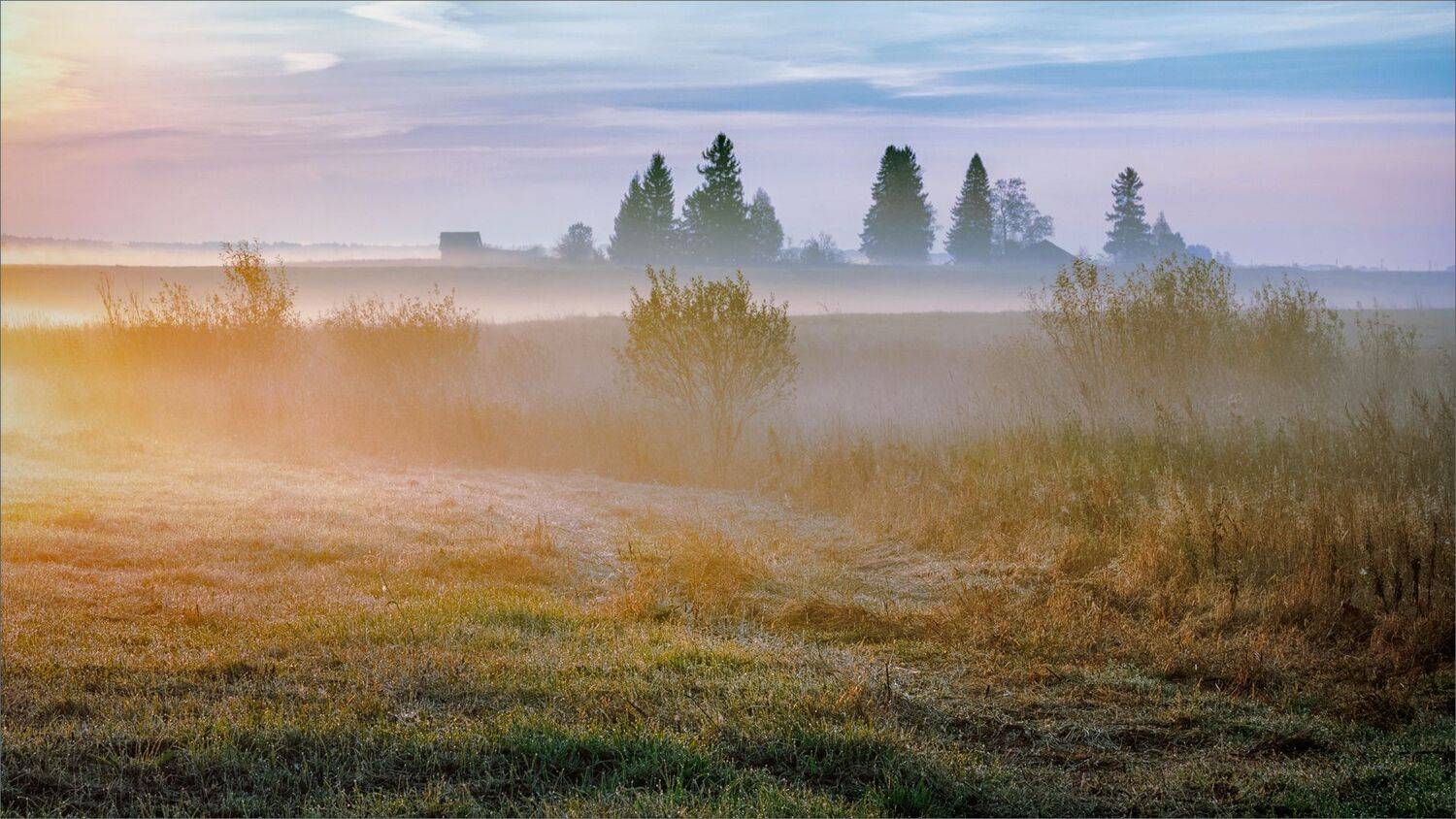 пейзаж, осень, утро, деревня, туман, свет, цвет, александр никитинский, Никитинский Александр