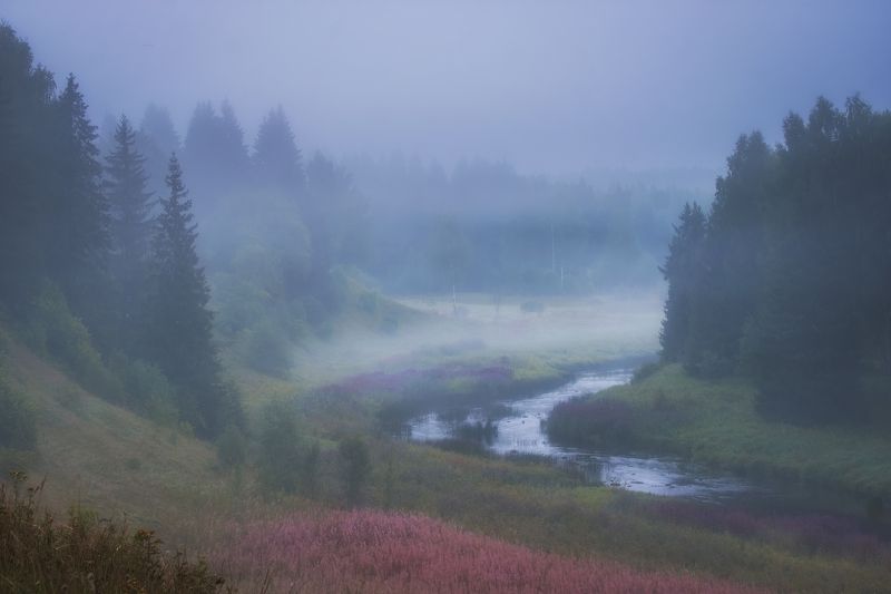 Где то в утреннем туманеphoto preview