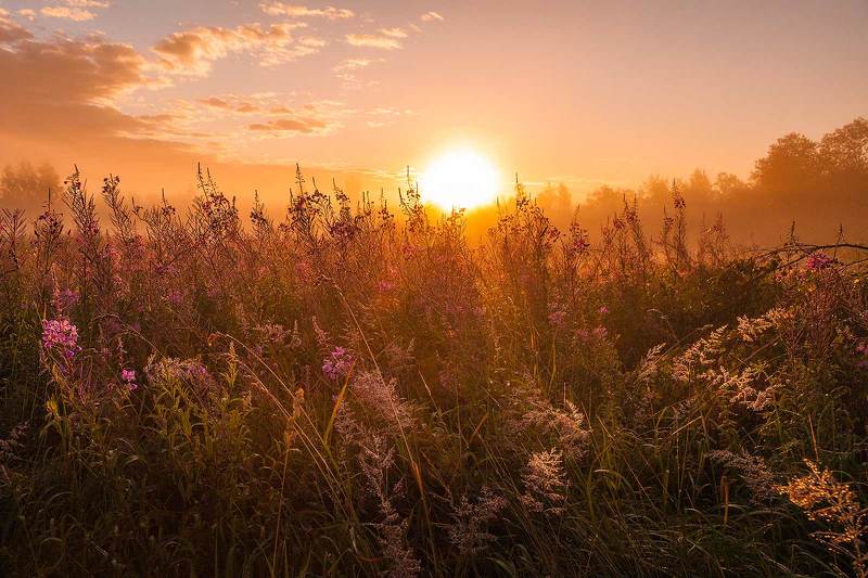 Рассвет в полеphoto preview