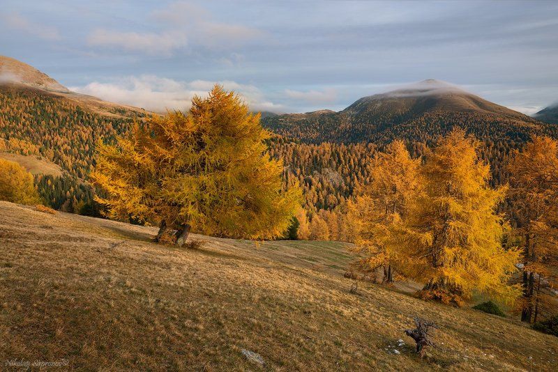 nockalmstra?e, nockberge, австрия, альпы, горы, каринтия, листвинницы, национальный парк, осенний пейзаж, осень Осенние цвета Nockbergephoto preview