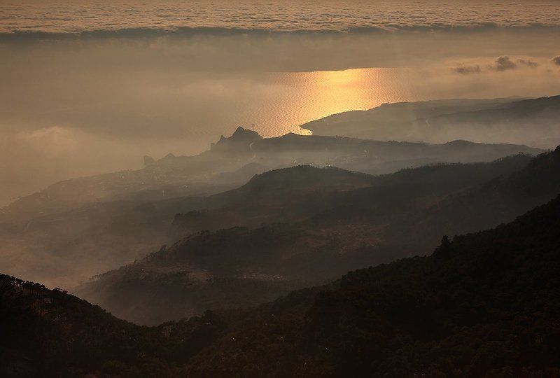 Золото зимнего вечера.photo preview