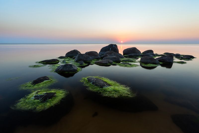 Из тины паутинаphoto preview