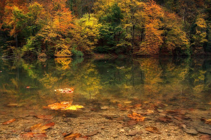 Осеннее озероphoto preview