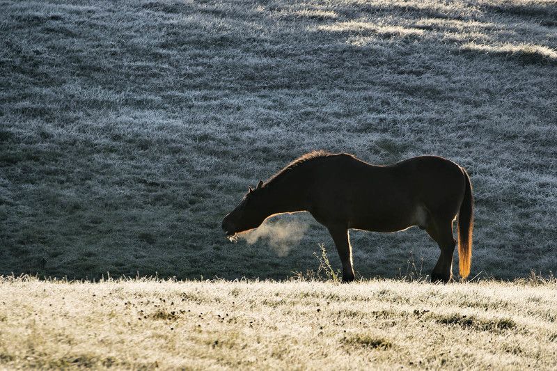 Заморозкиphoto preview