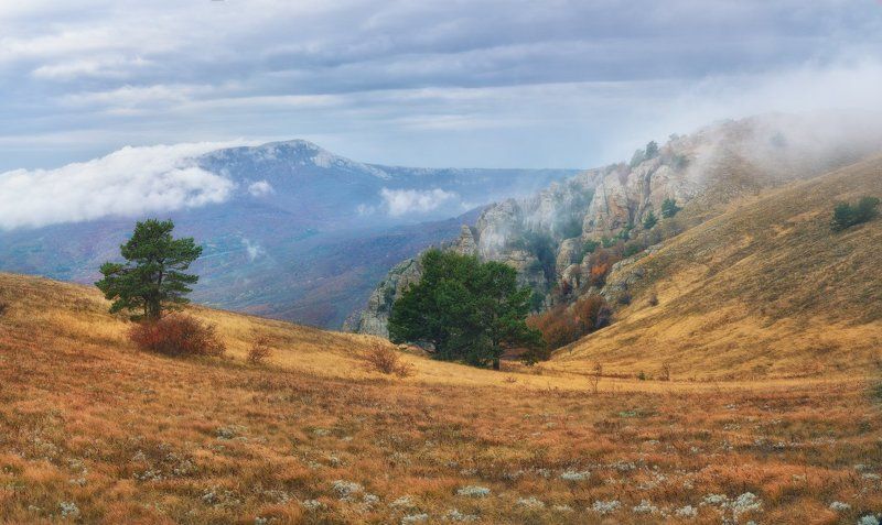 На просторах Демерджиphoto preview