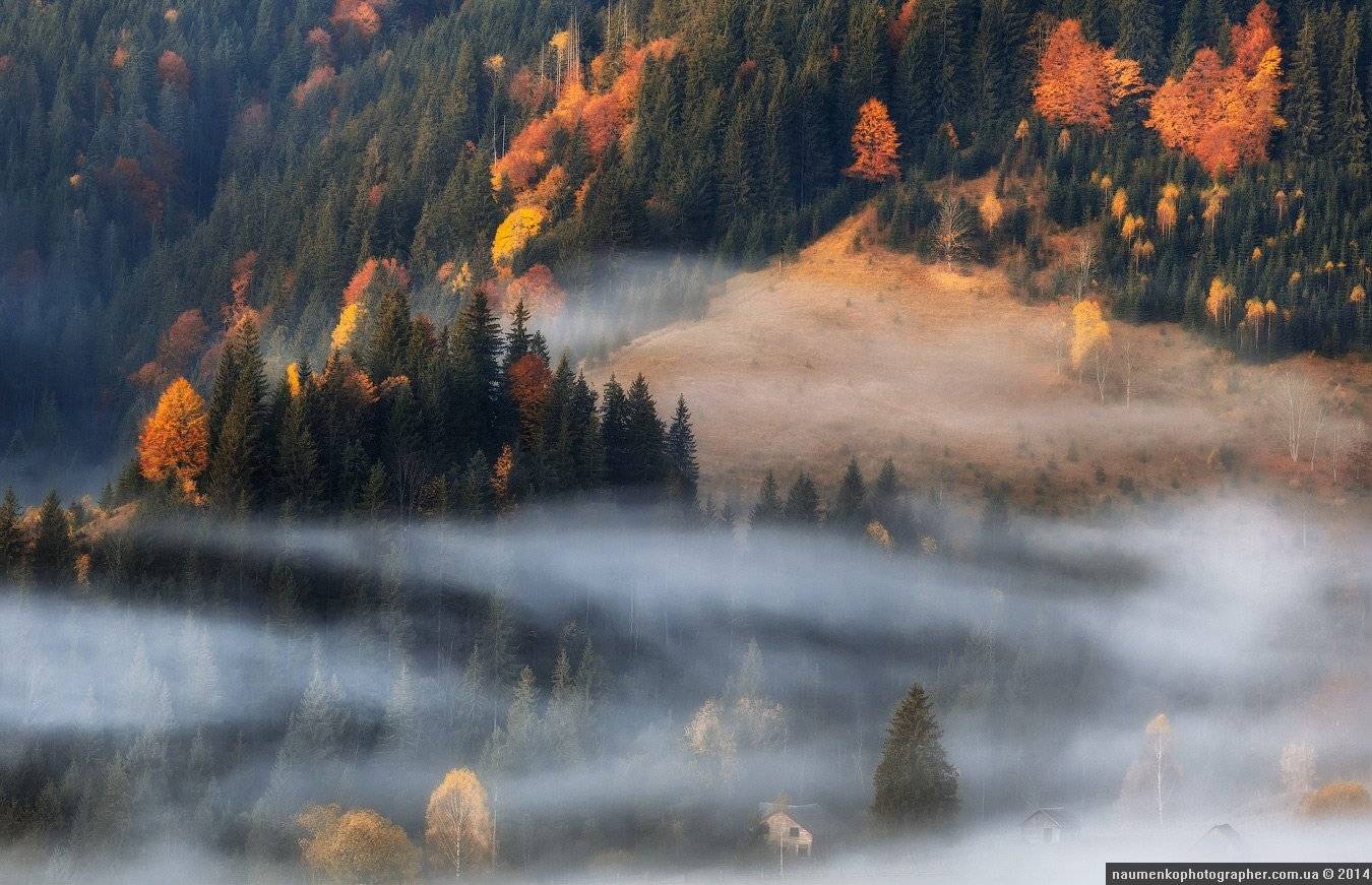 горы,	зеленый,	карпаты,	луг, природа,	рассвет,	роса, склон,	солнце,	трава,	туман, дземброня, Александр Науменко