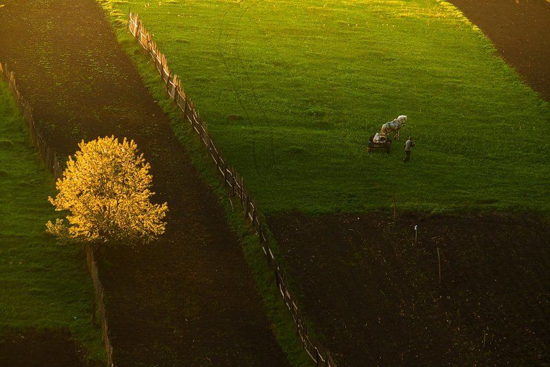 Going home (3)photo preview